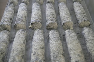 chèvre_310.jpg